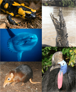 placeholder image to represent content