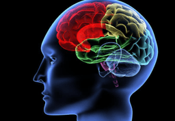 placeholder image to represent content