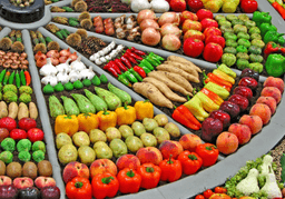 placeholder image to represent content