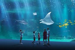 placeholder image to represent content