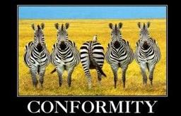 placeholder image to represent content