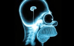 placeholder image to represent content