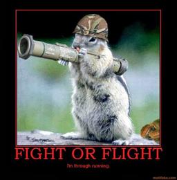 placeholder image to represent content