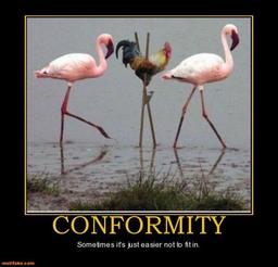 placeholder image to represent content