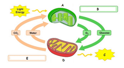 placeholder image to represent content