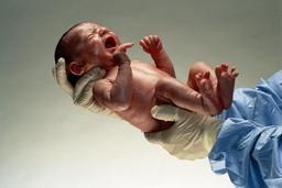 placeholder image to represent content