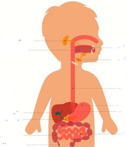 placeholder image to represent content