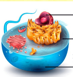 placeholder image to represent content