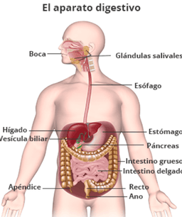 placeholder image to represent content