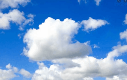 placeholder image to represent content