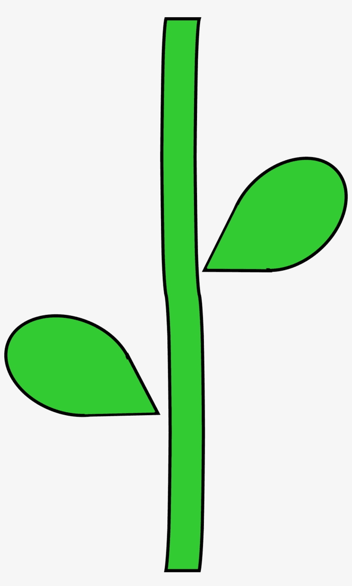Answer Image