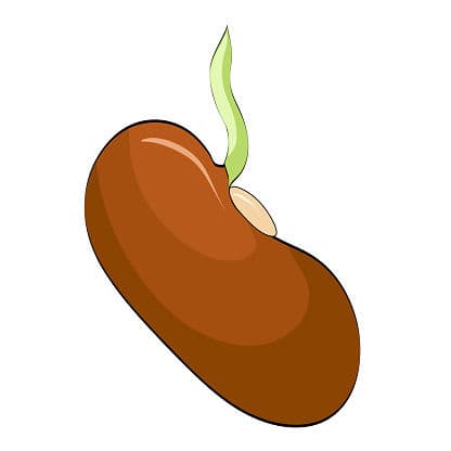 Answer Image