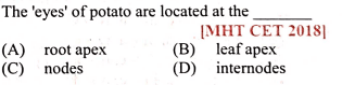 Question Image