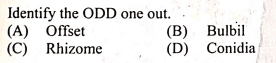 Question Image
