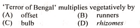 Question Image