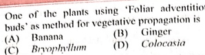 Question Image