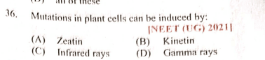 Question Image