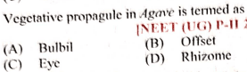 Question Image