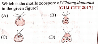 Question Image