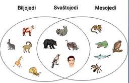 placeholder image to represent content