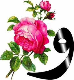 placeholder image to represent content