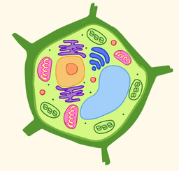 placeholder image to represent content