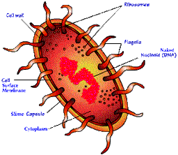 placeholder image to represent content