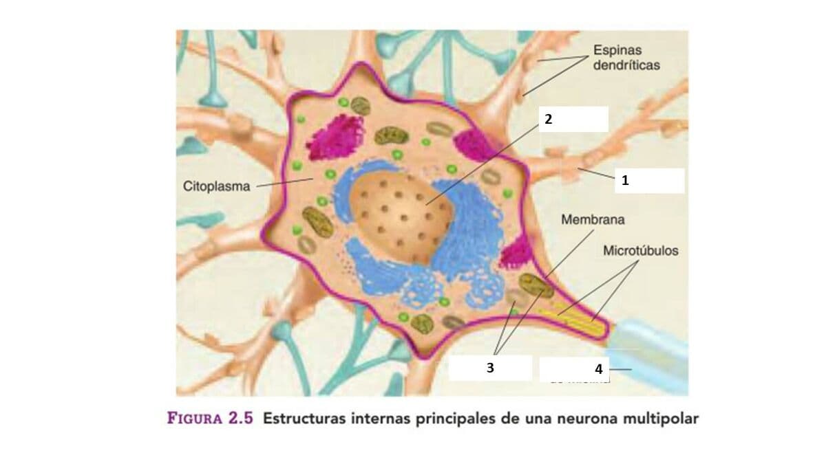 Question Image