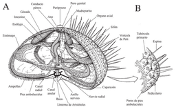 placeholder image to represent content