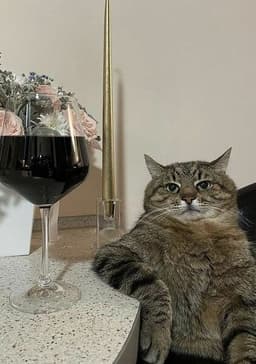 placeholder image to represent content