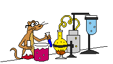 placeholder image to represent content