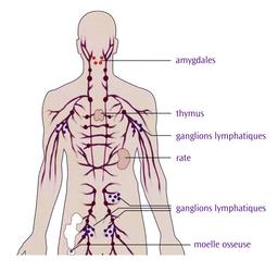 placeholder image to represent content