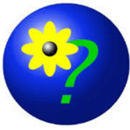 placeholder image to represent content