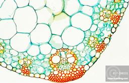 placeholder image to represent content