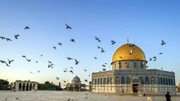 placeholder image to represent content