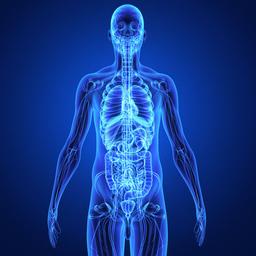 placeholder image to represent content