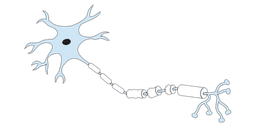 placeholder image to represent content