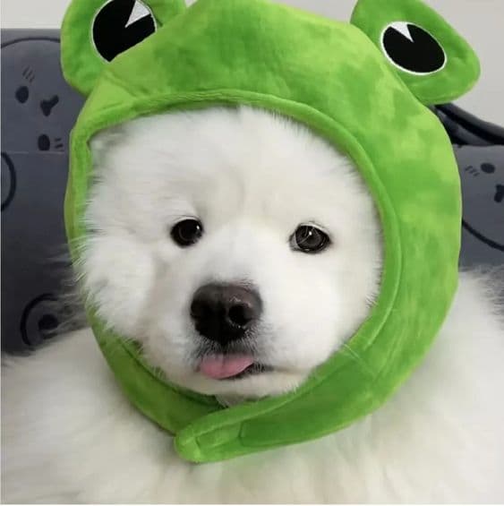 Question Image