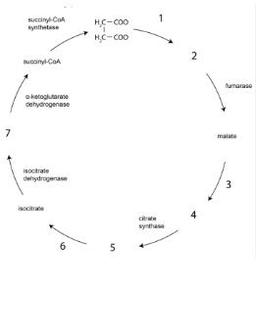 placeholder image to represent content