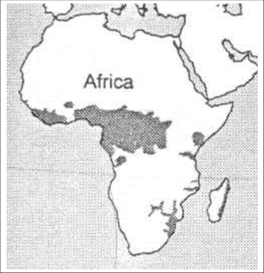 Answer Image