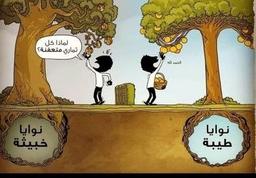 placeholder image to represent content