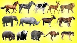 placeholder image to represent content