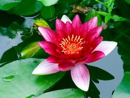 placeholder image to represent content