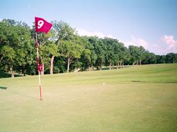 placeholder image to represent content